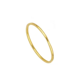 Anillo Basic Plata Dorada