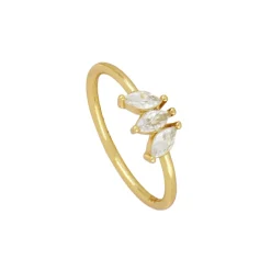 Anillo Casmir Plata Dorada
