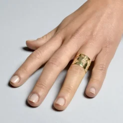 Anillo Mundo Plata Dorada