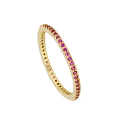 Anillo Nera Fucsia Plata Dorada