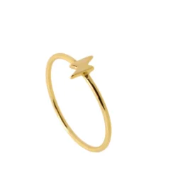 Anillo Rayo Plata Dorada