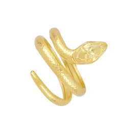 Anillo Serpiente Plata Dorada