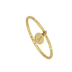 Anillo Vita Medal Plata Dorada