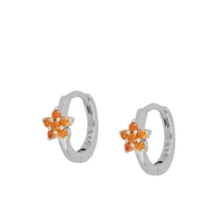 Aros Cleo Naranja Plata