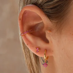 Aros Glam Fucsia Plata Dorada