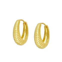 Aros Jana Plata Dorada