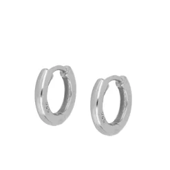 Aros Laik 10mm Plata