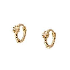 Aros Vani Champagne Plata Dorada