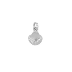 Charm Concha Plata