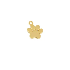 Charm Huella Plata Dorada