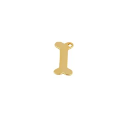 Charm Hueso Plata Dorada