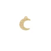 Charm Lune Plata Dorada