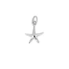 Charm Sea Star Plata