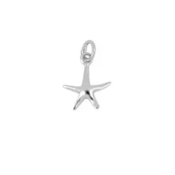 Charm Sea Star Plata