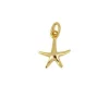 Charm Sea Star Plata Dorada