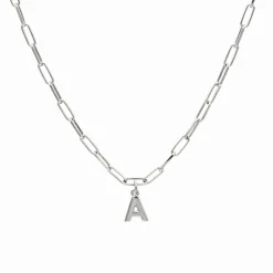 Gargantilla Nile Shine Plata
