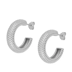 Pendientes Brina Plata
