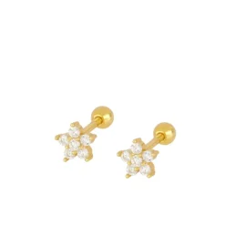 Piercing Estrella Polar Plata Dorada