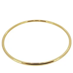Pulsera Rigid 2mm Plata Dorada